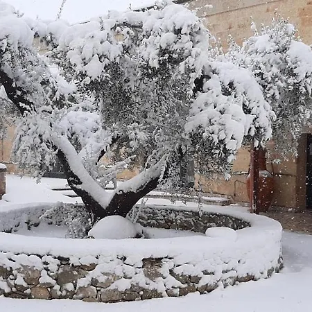 Bed & Breakfast Masseria San Nicola Torre Santa Susanna