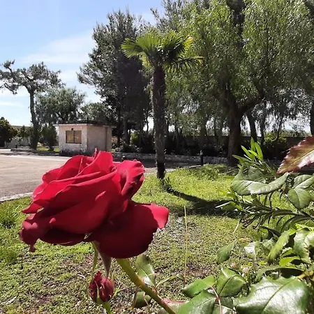 Masseria San Nicola Bed & Breakfast *